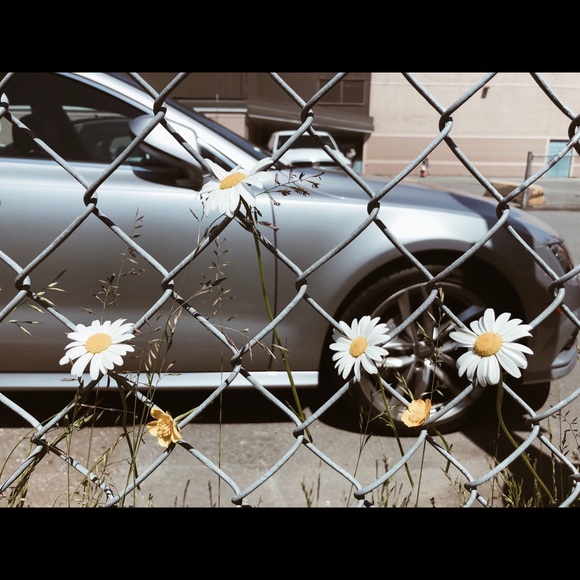 Meet your Posher, Rachel - Picture 1 of 1